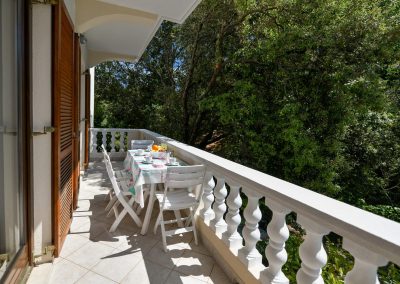 One bedroom apartment with terrace and a forest view