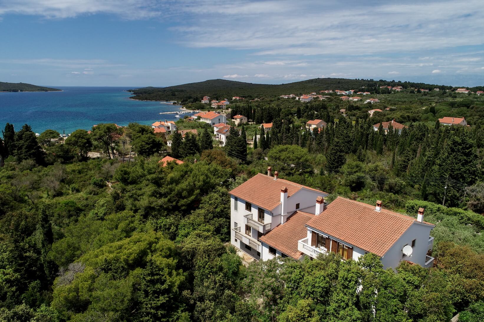 Apartments Mrva surrounded by olive groves and Mediterranean vegetation